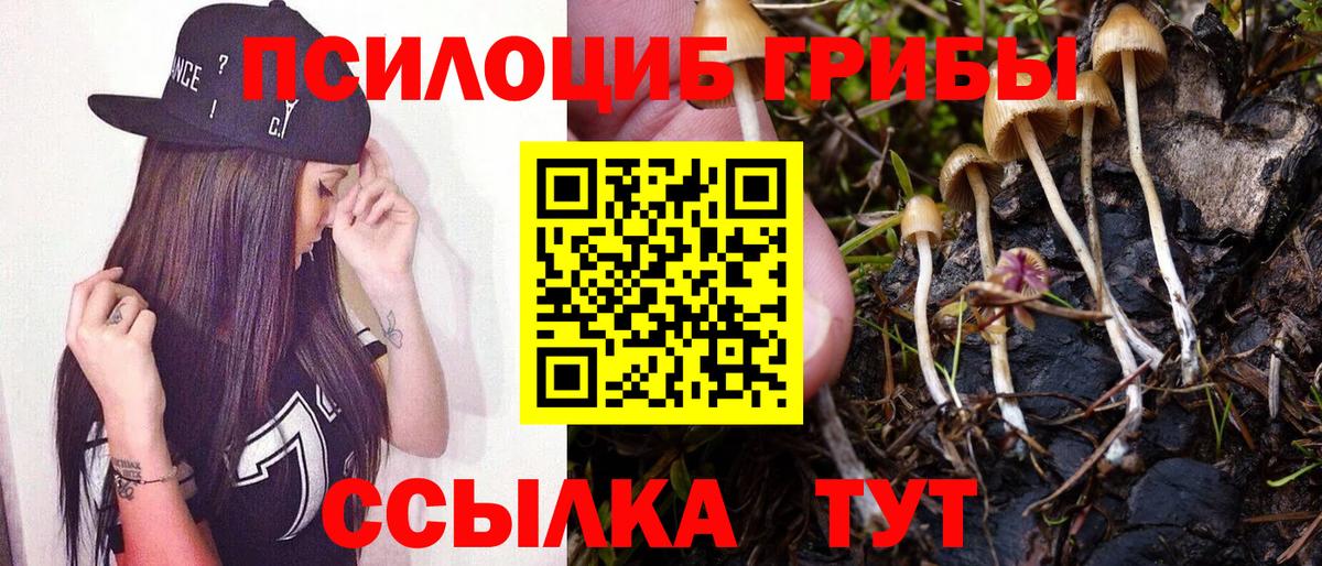 Галлюциногенные грибы прущие грибы Усолье-Сибирское