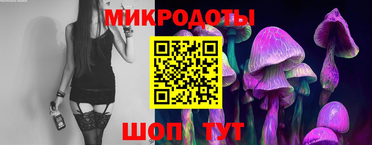 Усолье-Сибирское  Галлюциногенные грибы Psilocybe  Вход с VPN 
